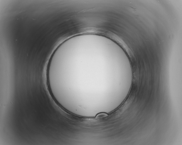 X0000101691483200807311402