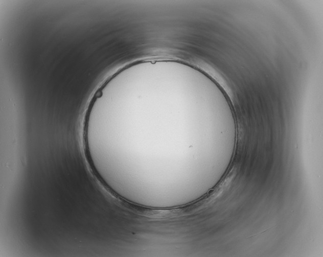 X0000101691485200807311402