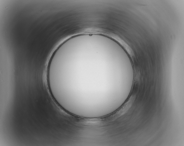 X0000101691486200807311402