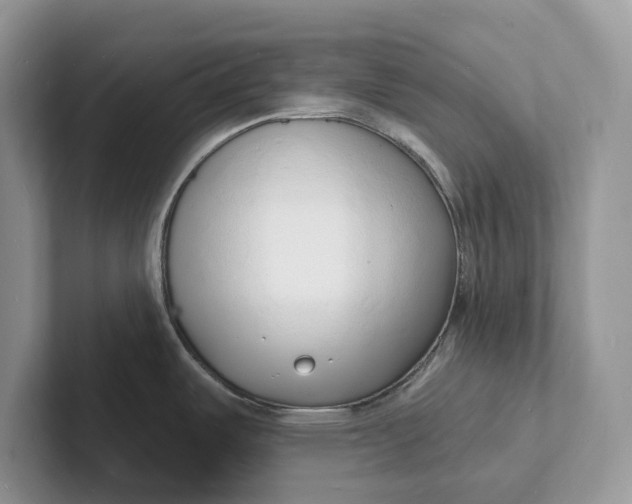 X0000101691487200807311402