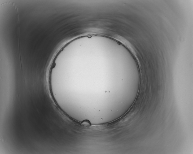 X0000101691488200807311402