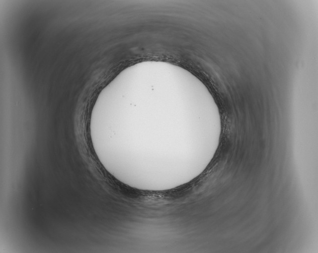 X0000101691489200807311401