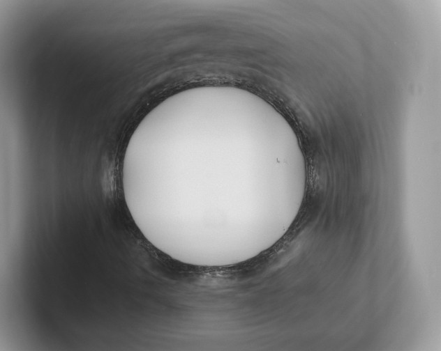 X0000101691490200807311401