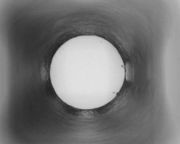 X0000101691491200807311401