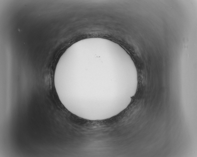 X0000101691493200807311401