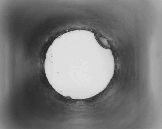 X0000101691495200807311401