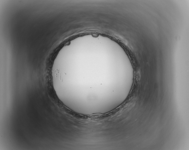 X0000101691496200807311401