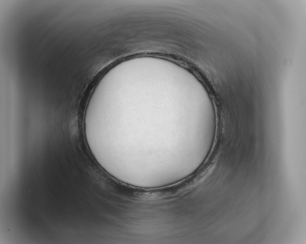 X0000101691497200807311401