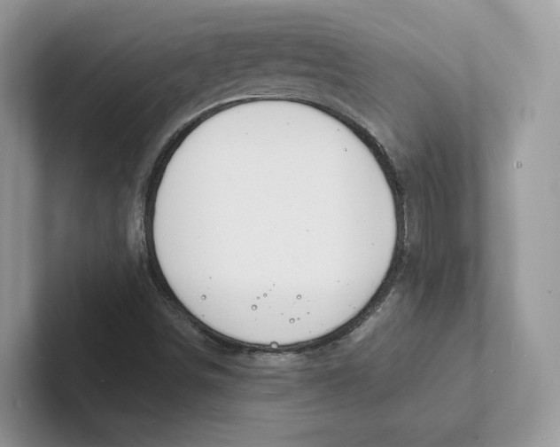 X0000101691498200807311401