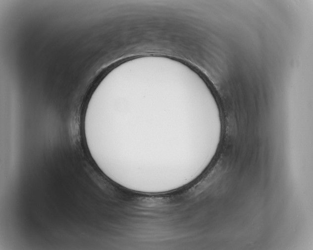 X0000101691499200807311401