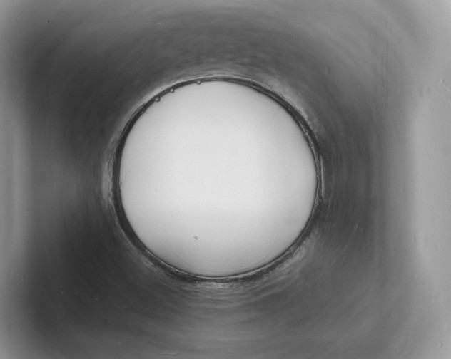 X0000101691500200807311401