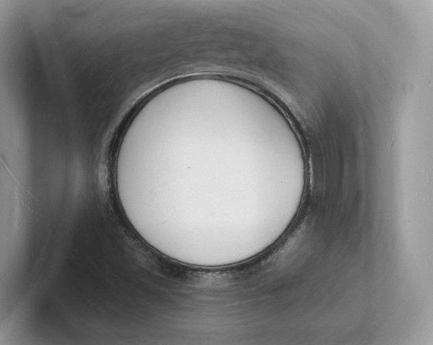 X0000101691501200807311401