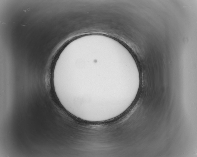 X0000101691502200807311401