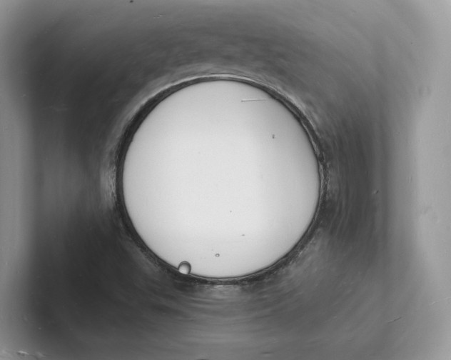 X0000101691503200807311401