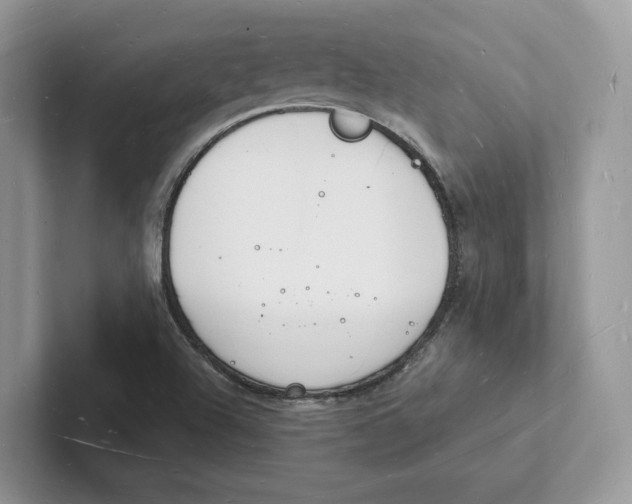 X0000101691504200807311401