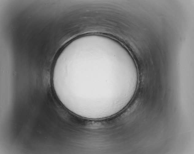 X0000101691505200807311401