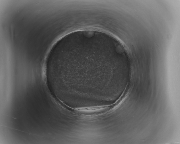 X0000101691506200807311401