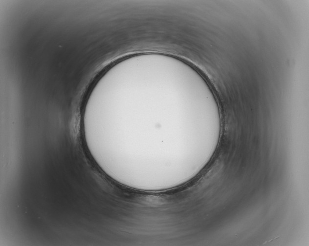 X0000101691507200807311401