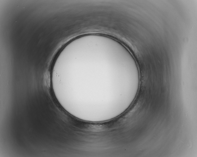 X0000101691509200807311401