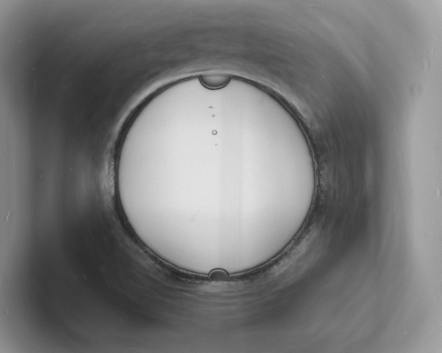 X0000101691510200807311401