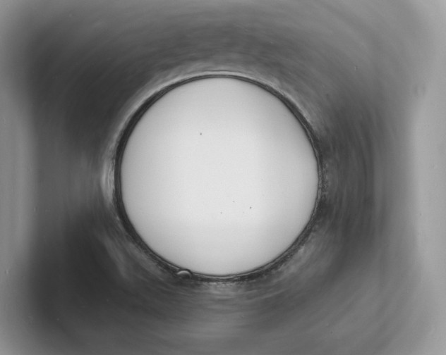 X0000101691511200807311401