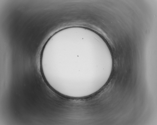 X0000101691512200807311401