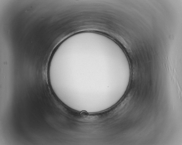 X0000101691513200807311401