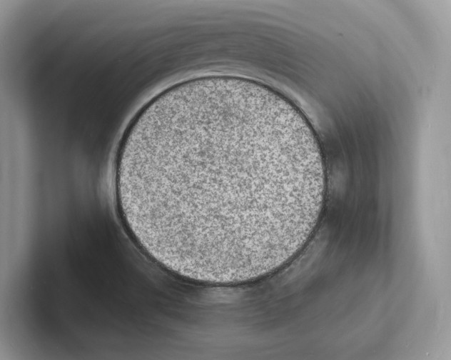 X0000101691514200807311401