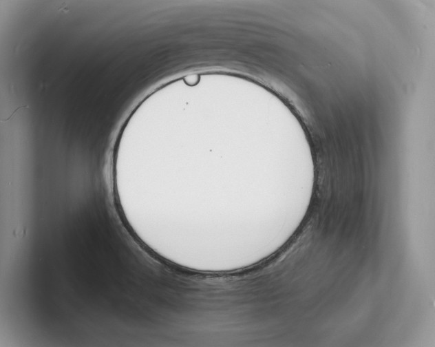 X0000101691516200807311401