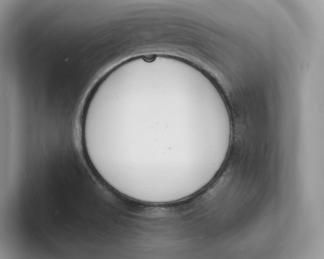 X0000101691517200807311401