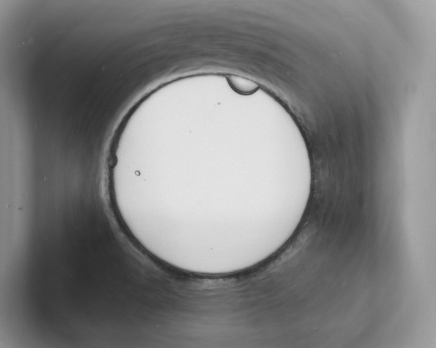 X0000101691518200807311401