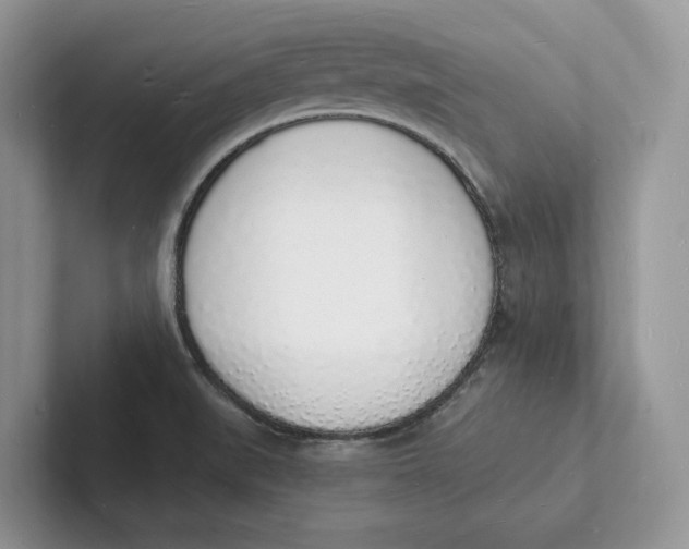 X0000101691519200807311401