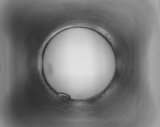 X0000101691520200807311401