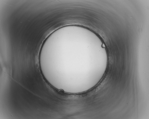 X0000101691521200807311401