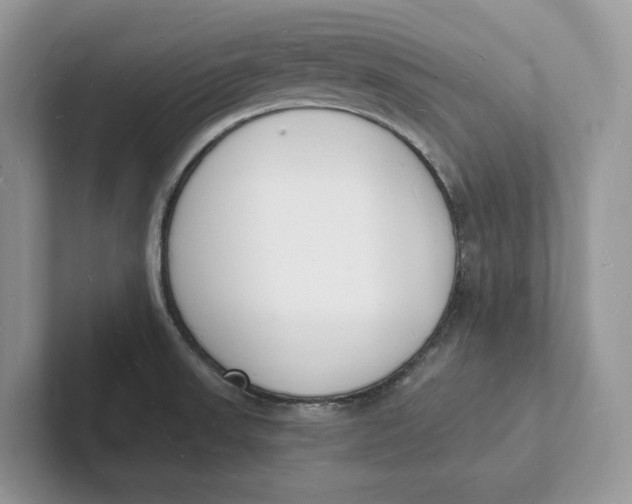 X0000101691523200807311401