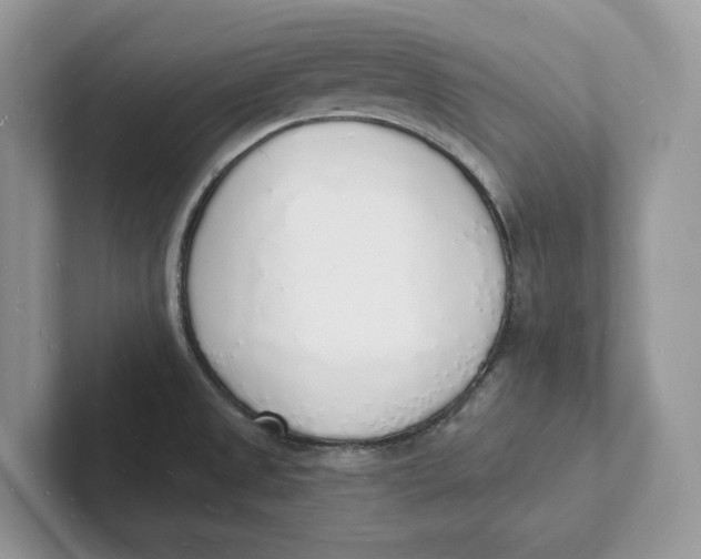 X0000101691525200807311401