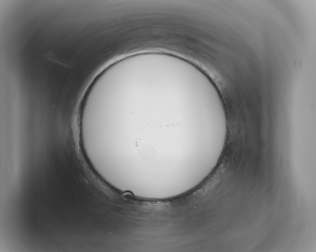 X0000101691526200807311401