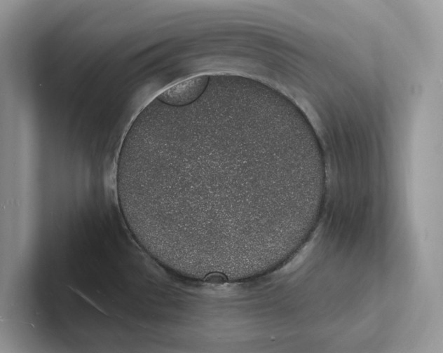 X0000101691529200807311402