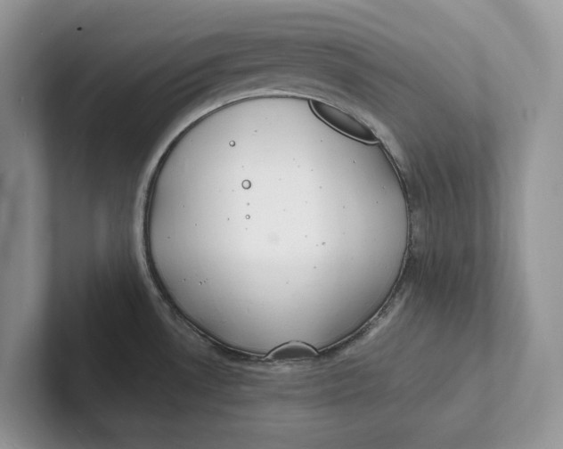 X0000101691530200807311402