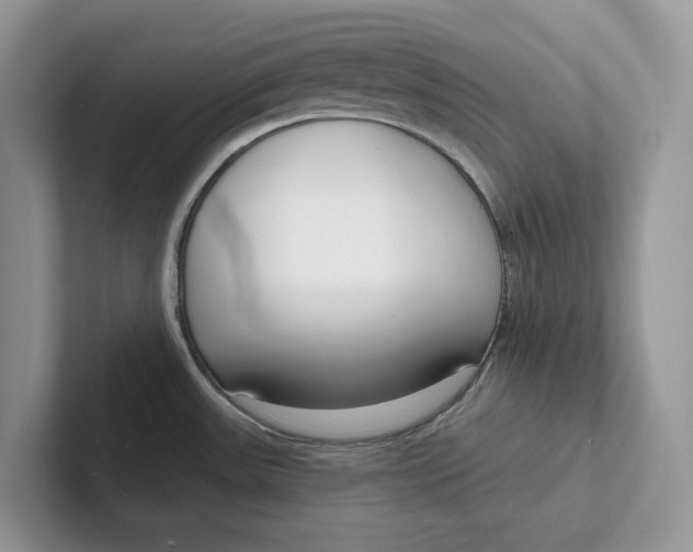 X0000101691531200807311402