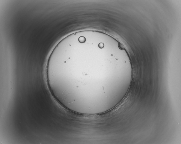 X0000101691532200807311402