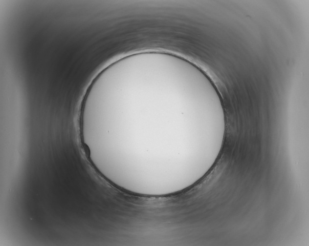 X0000101691534200807311402