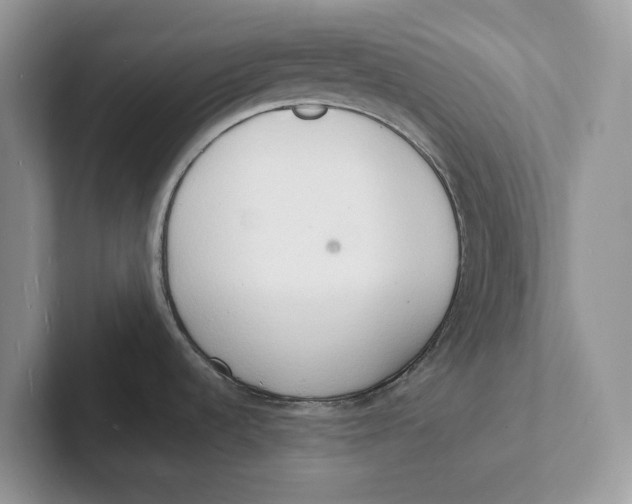 X0000101691536200807311402