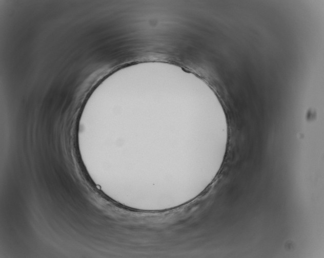 X0000101690001200808071145