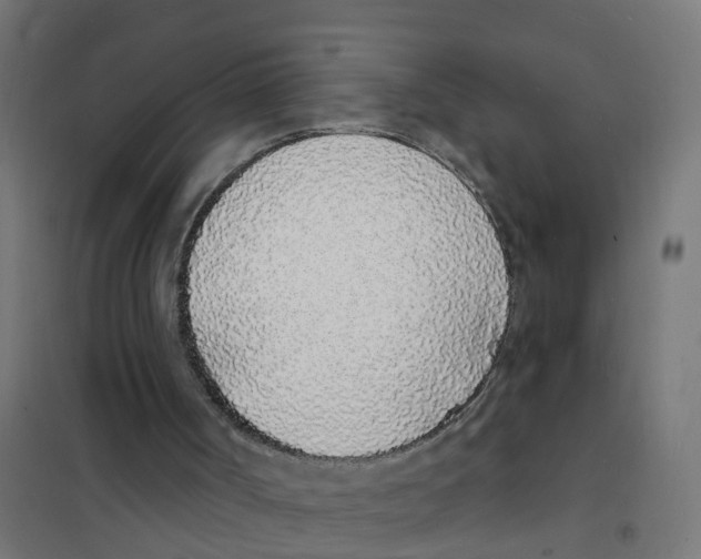 X0000101690002200808071145