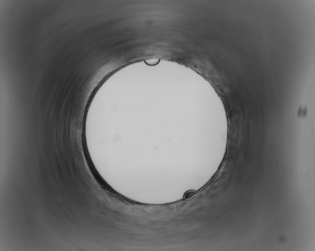 X0000101690003200808071145