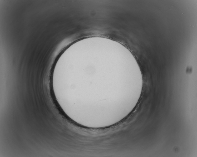 X0000101690006200808071145