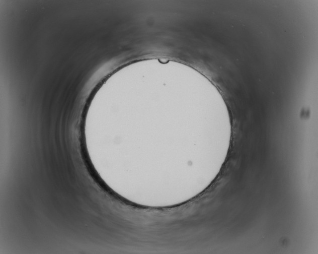 X0000101690007200808071145