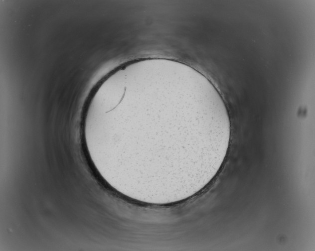 X0000101690008200808071145