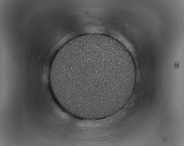 X0000101690009200808071145